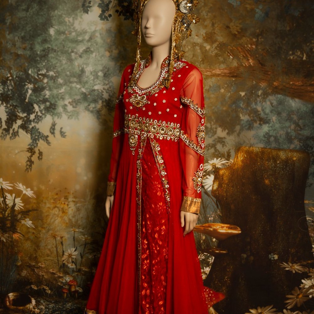 Hindi Indian south Asian wedding  fantasy red gold  dress encrusted with jewels - Picture 5 of 16